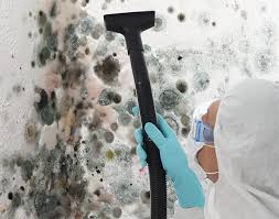 Best Commercial Mold Inspection  in Polkton, NC